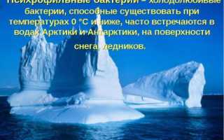 Где психрофилам жить хорошо?