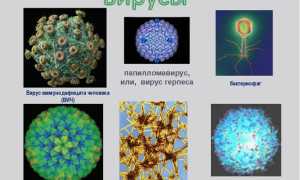 Детские инфекции: корь, краснуха, паротит и ветрянка. На что обратить внимание родителям?