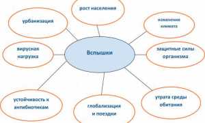 Что такое эпидемия и чем она отличается от пандемии