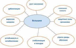 Что такое эпидемия и чем она отличается от пандемии