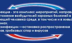 Определение бактерий группы кишечной палочки (БГКП) методом смывов