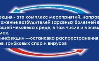 Определение бактерий группы кишечной палочки (БГКП) методом смывов
