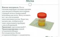 Где и как нужно хранить мочу до сдачи в лабораторию