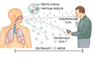 Почему люди умирают от заражения коронавирусом и для кого он больше всего опасен