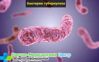 Инфильтративный туберкулёз легких: особенности заболевания