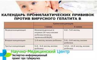 Прививка от гепатита В взрослым и детям предотвратит эпидемию