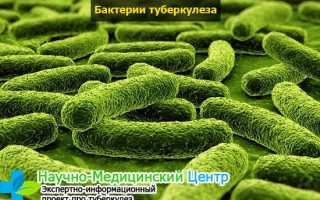 Туберкулёз: что это такое