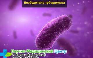 Для чего делают манту – туберкулиновый тест