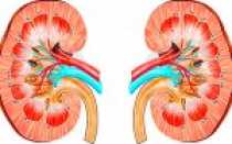 Виды анализов мочи и их параметры при пиелонефрите
