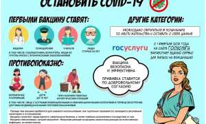 Правда ли, что коронавирус погибает при жаре: актуальные данные