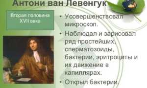 Способы питания удивительных бактерий
