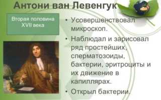 Способы питания удивительных бактерий