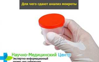 Как правильно сдавать мокроту на анализ