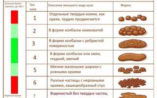 Бристольская шкала кала — Бристольская шкала стула