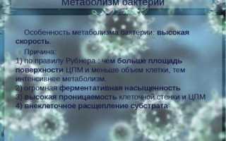 Метаболизм, или За счет чего живут бактерии