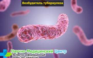 Туберкулёз: чем опасен недуг, его этиология и патогенез