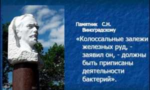 Железобактерии – загадочные организмы, превращающие железо в руду