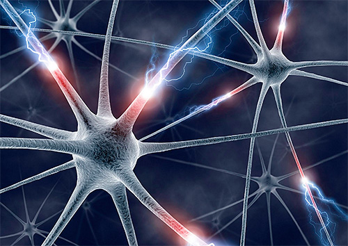 Вирус навсегда сохраняется в нервных клетках спинного мозга и при ослаблении иммунитета способен вызывать рецидивы заболевания Вирус навсегда сохраняется в нервных клетках спинного мозга и при ослаблении иммунитета способен вызывать рецидивы заболевания