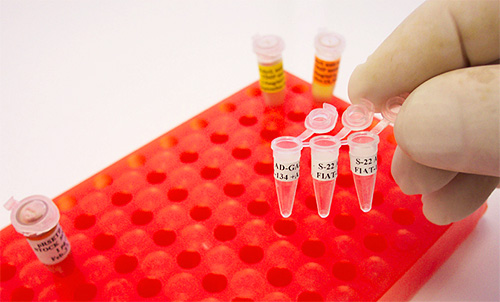 Сегодня существует множество методов анализа на герпес Сегодня существует множество методов анализа на герпес