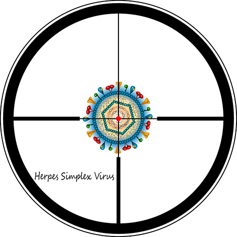 Есть несколько простых и доступных каждому человеку способов профилактики появления герпетических язвочек на лице... Есть несколько простых и доступных каждому человеку способов профилактики появления герпетических язвочек на лице...