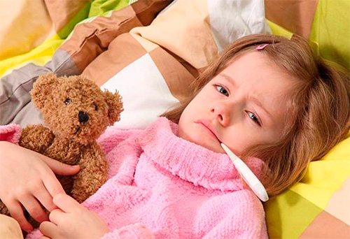 Лечение болезни во многом аналогично таковому при обычной ангине и является преимущественно симптоматическим. Лечение болезни во многом аналогично таковому при обычной ангине и является преимущественно симптоматическим.