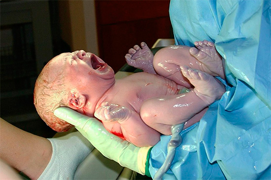 Инфекция особенно опасна при беременности в случае первичного заражения. Инфекция особенно опасна при беременности в случае первичного заражения.