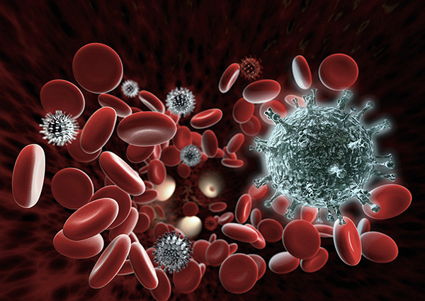 Действительно ли применение иммуномодуляторов способно предотвратить рецидивы герпеса? Действительно ли применение иммуномодуляторов способно предотвратить рецидивы герпеса?