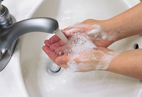 Такая простая процедура, как мытье рук с мылом, является весьма эффективной профилактической мерой от заражения инфекцией. Такая простая процедура, как мытье рук с мылом, является весьма эффективной профилактической мерой от заражения инфекцией.