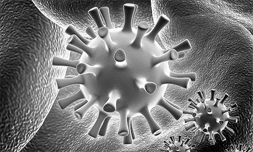 Сегодня вирус herpes simplex встречается практически по всей планете Сегодня вирус herpes simplex встречается практически по всей планете