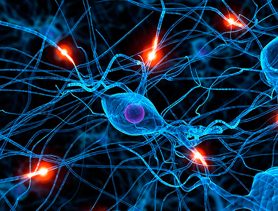Причиной постгерпетической невралгии является разрушение миелиновой оболочки нервных клеток... Причиной постгерпетической невралгии является разрушение миелиновой оболочки нервных клеток...