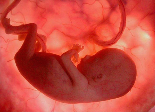 Особенно опасен рецидив генитального герпеса или заражение им во время беременности. Особенно опасен рецидив генитального герпеса или заражение им во время беременности